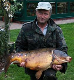 Spiegelkarpfen 24kg